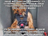 - Знаешь, моя собака совсем обленилась! - Что ты говоришь? А что такое? - Ну как же. Раньше, чтобы погулять, она приносила поводок, а теперь - ключи от машины! - Что ты говоришь? А что такое? - Ну как же. Раньше, чтобы погулять, она приносила поводок, а теперь - ключи от машины!