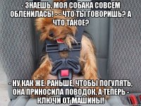 - Знаешь, моя собака совсем обленилась! - - Что ты говоришь? А что такое? - Ну как же. Раньше, чтобы погулять, она приносила поводок, а теперь - ключи от машины!
