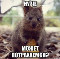 ну че может потрахаемся?