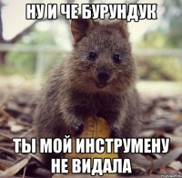 ну и че бурундук ты мой инструмену не видала