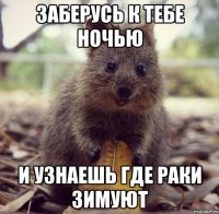 заберусь к тебе ночью и узнаешь где раки зимуют
