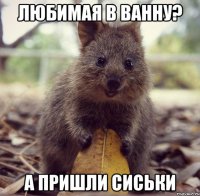 любимая в ванну? а пришли сиськи