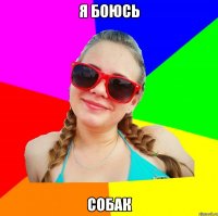 я боюсь собак