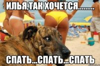 Илья,так хочется......... спать...спать...спать