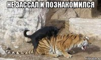 не зассал и познакомился 