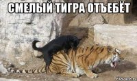 смелый тигра отъебёт 