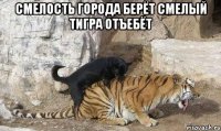смелость города берёт смелый тигра отъебёт 