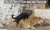 Еркек еркектiгiн жасаит любой жерде 