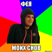 ФЕЯ моих снов