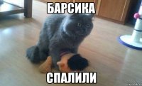 Барсика спалили
