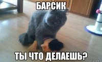 Барсик ты что делаешь?