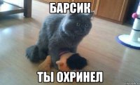 Барсик ты охринел