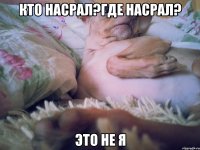 Кто насрал?где насрал? ЭТО НЕ Я