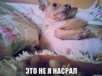  ЭТО НЕ Я НАСРАЛ