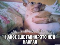  Какое еще гавно?ЭТО НЕ Я НАСРАЛ