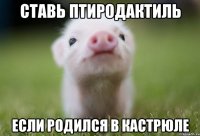 СТАВЬ ПТИРОДАКТИЛЬ ЕСЛИ РОДИЛСЯ В КАСТРЮЛЕ