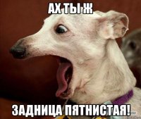 Ах ты ж Задница Пятнистая!