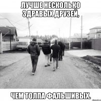 Лучше несколько здравых друзей, чем толпа фальшивых.