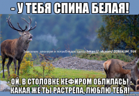 - У тебя спина белая! - Ой, в столовке кефиром облилась! - Какая же ты растрёпа, люблю тебя!