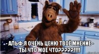  - Альф,я очень ценю твоё мнение - Ты что моё что?????!!!!