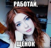 работай, щенок