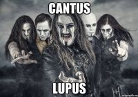Cantus lupus