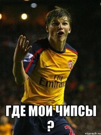  ГДЕ МОИ ЧИПСЫ ?
