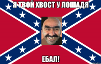 Я твой хвост у лошадя ебал!