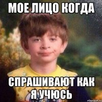 мое лицо когда спрашивают как я учюсь