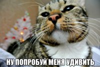  Ну попробуй меня удивить