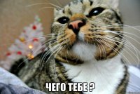  Чего тебе ?
