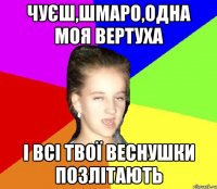 чуєш,шмаро,одна моя вертуха і всі твої веснушки позлітають