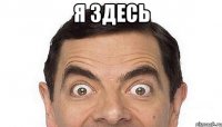Я здесь 