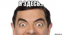 Я здесь... 