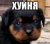 хуйня 