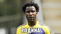  Родина