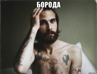 борода 