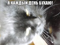 Я каждый день бухаю! 