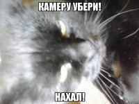 Камеру убери! Нахал!