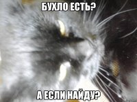 Бухло есть? А если найду?