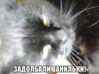  Задолбали ванильки!