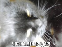 Чо? На меня?! Да?!