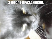 Я после праздников. 