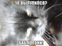 Че вылупился? Бабло гони!