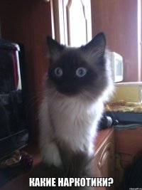  Какие наркотики?