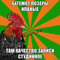 Бегемот позеры ипаные там качество записи студийное