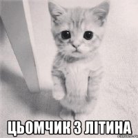  ЦЬОМЧИК З ЛІТИНА