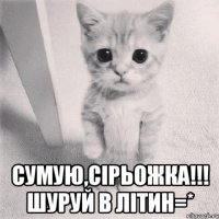  СУМУЮ,СІРЬОЖКА!!! Шуруй в Літин=*
