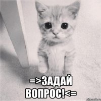  =>Задай вопрос!<=