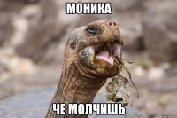 моника че молчишь